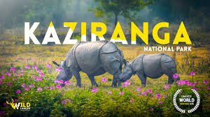 Kaziranga 