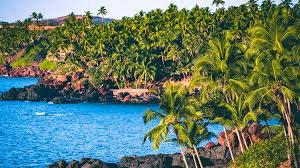  Goa 