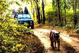  Gujarat Wildlife Tour with Gir Jungle Safari
